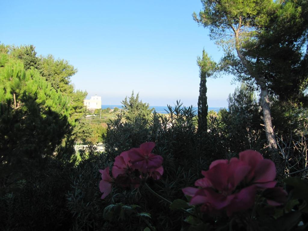 Villa Flora Studios & Apartments Conca Specchiulla Extérieur photo